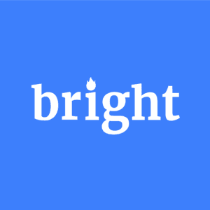 Bright Data Logo